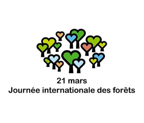 Journée internationale des forêts 2024