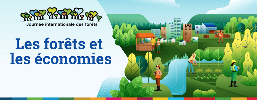 Visuel journée internationale des forêts