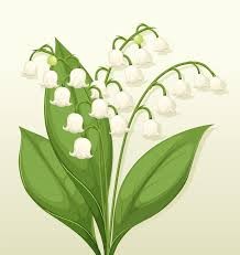 Illustration brin de muguet