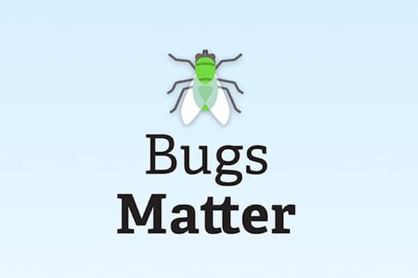 Illustration bugs matter